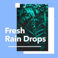 Artwork for Fresh Rain Drops by Rain Sounds