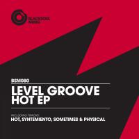 Artwork for Hot EP by Level Groove