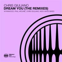 Artwork for Dream You (The Remixes) by Chris Giuliano