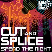 Artwork for Spend The Night by Cut & Splice