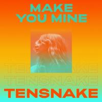 Artwork for Make You Mine by Tensnake