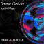 Artwork for Lost in Music