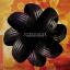 Artwork for Follow You