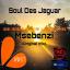Artwork for Msebenzi (Original Mix)