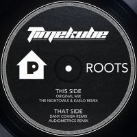 Artwork for Roots by TimeKube