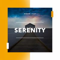 Artwork for Serenity by Rain Sounds