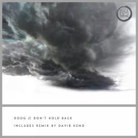 Artwork for Don't Hold Back by Roog