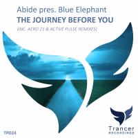 Artwork for The Journey Before You by Abide