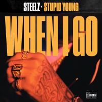 Artwork for When I Go by Steelz