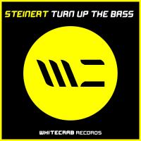 Artwork for Turn Up The Bass by Steinert