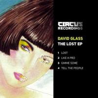 Artwork for The Lost by David Glass