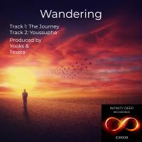 Artwork for Wandering by Yooks