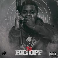 Artwork for Big Opp by Timo