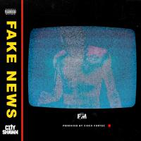 Artwork for Fake News by City Shawn