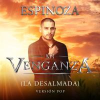 Artwork for Mi Venganza (La Desalmada) by Espinoza Paz
