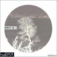 Artwork for SLiCK Sampler Vol. 5 by Various Artists
