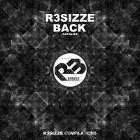 Artwork for R3sizze Back Catalog, Vol. 1 by Various Artists