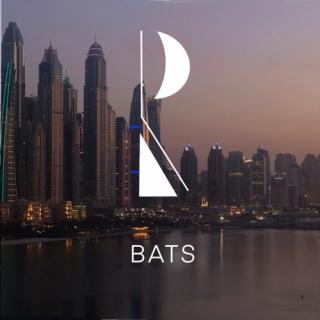 Artwork for Bats