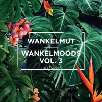 Artwork for Wankelmoods, Vol. 3 by Various Artists