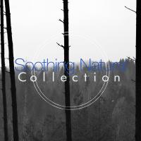 Artwork for Soothing Natural Collection by Nature Sound Collection