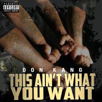 Artwork for This Ain’t What You Want by Don Kang