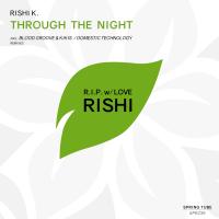 Artwork for Through the Night by Rishi K