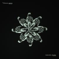 Artwork for Intruder EP by Subliminal Source