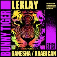 Artwork for Ganesha / Arabican by Lexlay