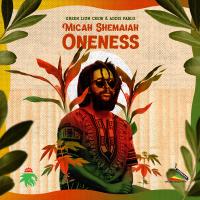 Artwork for Oneness by Green Lion Crew