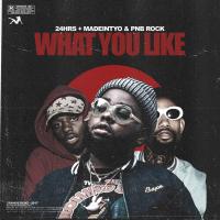Artwork for What You Like (feat. PnB Rock & Madeintyo) by 24hrs