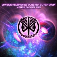 Artwork for Wayside Recordings Dubstep Glitch Drum & Bass Summer 2021 (Dj Mixed) by Doctor Spook