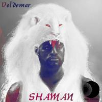 Artwork for Shaman (Original Mix) by VOL'DEMAR