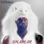 Artwork for Shaman (Original Mix)