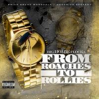 Artwork for From Roaches to Rollies by Waka Flocka Flame