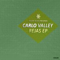 Artwork for Rejas EP by Carlo Valley