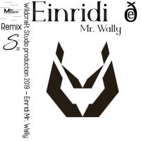 Artwork for Mr. Wally by EINRIDI