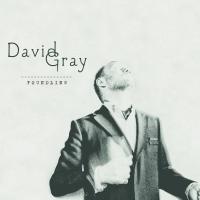 Artwork for Foundling by David Gray