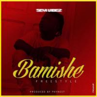 Artwork for Bamishe by Seyi Vibez