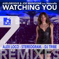 Artwork for Watching You (feat. Naturelle) (Remixes) by Axelgroove