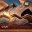 Artwork for Uopa! (Original Mix)