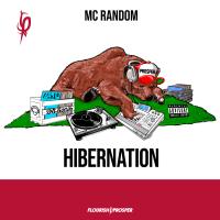 Artwork for Hibernation by MC Random