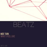 Artwork for What I Feel Like by Moe Turk