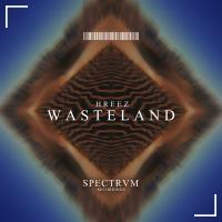 Artwork for Wasteland by Hreez