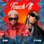 Artwork for Touch It
