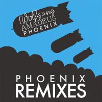 Artwork for Wolfgang Amadeus Phoenix by Phœnix