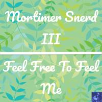 Artwork for Feel Free To Feel Me (Steve Miggedy Maestro, Belizian Voodoo Priest Mix) by Morttimer Snerd III