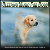 Artwork for Sleeping Music For Dogs: Background Dog Sleep and Peaceful Guitar Ocean Sounds, Dog Music and Soothing Music for Dogs and Pets by Dog Music