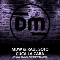 Artwork for Cuca La Cara by MDW