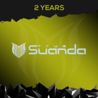 Artwork for 2 Years Suanda True by Various Artists