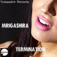 Artwork for Termination by Mrigashira